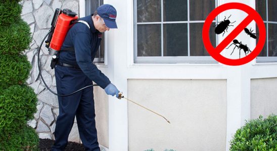 Vakfıkebir Tahtakurusu İlaçlama böcek ilaçlama ve haşere kontrolü — ilaclama-tr.com
